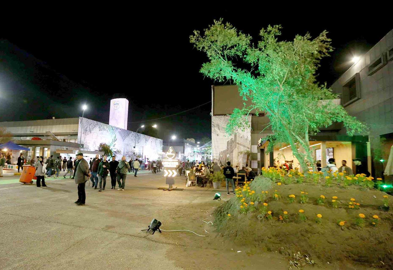شجرة الزيتون سلاح الشعر الفلسطيني ورمز للصمود